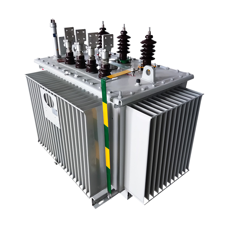 22KV 50~2500KVA OIL-IMMERSED DISTRIBUTION TRANSFORMER