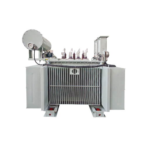 11kv 1000 Kva Oil-cooled Distribution Transformer