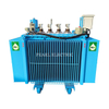 Energy-Efficient High Voltage 1600kVA Vegetable Oil-Immersed Distribution Transformer