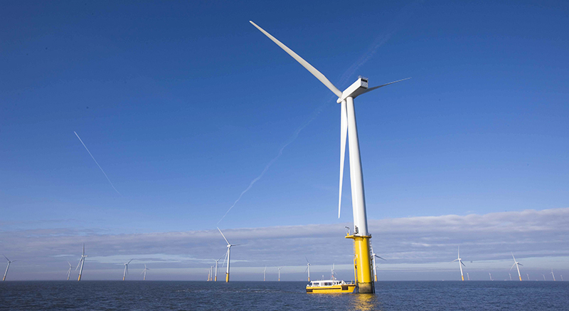 Renewable Energy