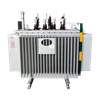 22KV 50~2500KVA OIL-IMMERSED DISTRIBUTION TRANSFORMER