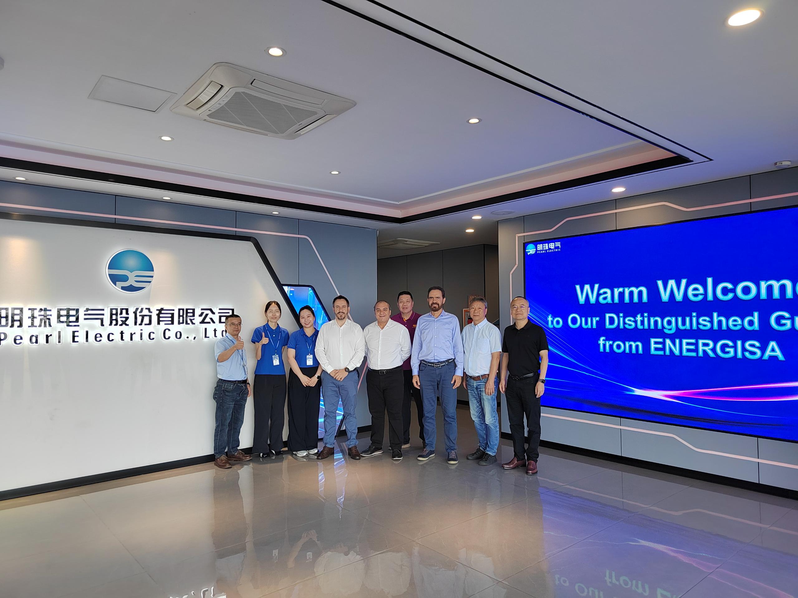 Brazilian power grid company Energisa visited.jpg