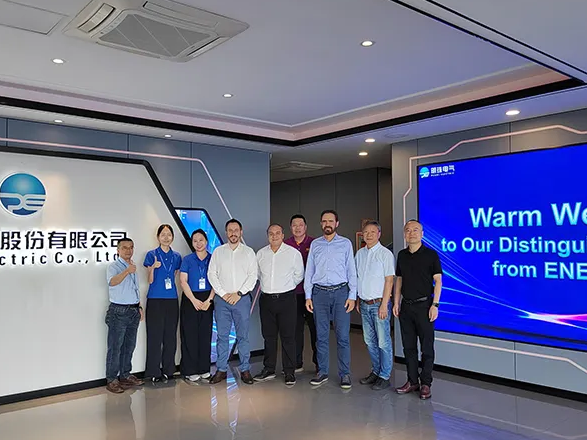 Brazil's Energisa Group Visits Pearl Electric to Advance Power Grid and Renewable Energy Cooperation